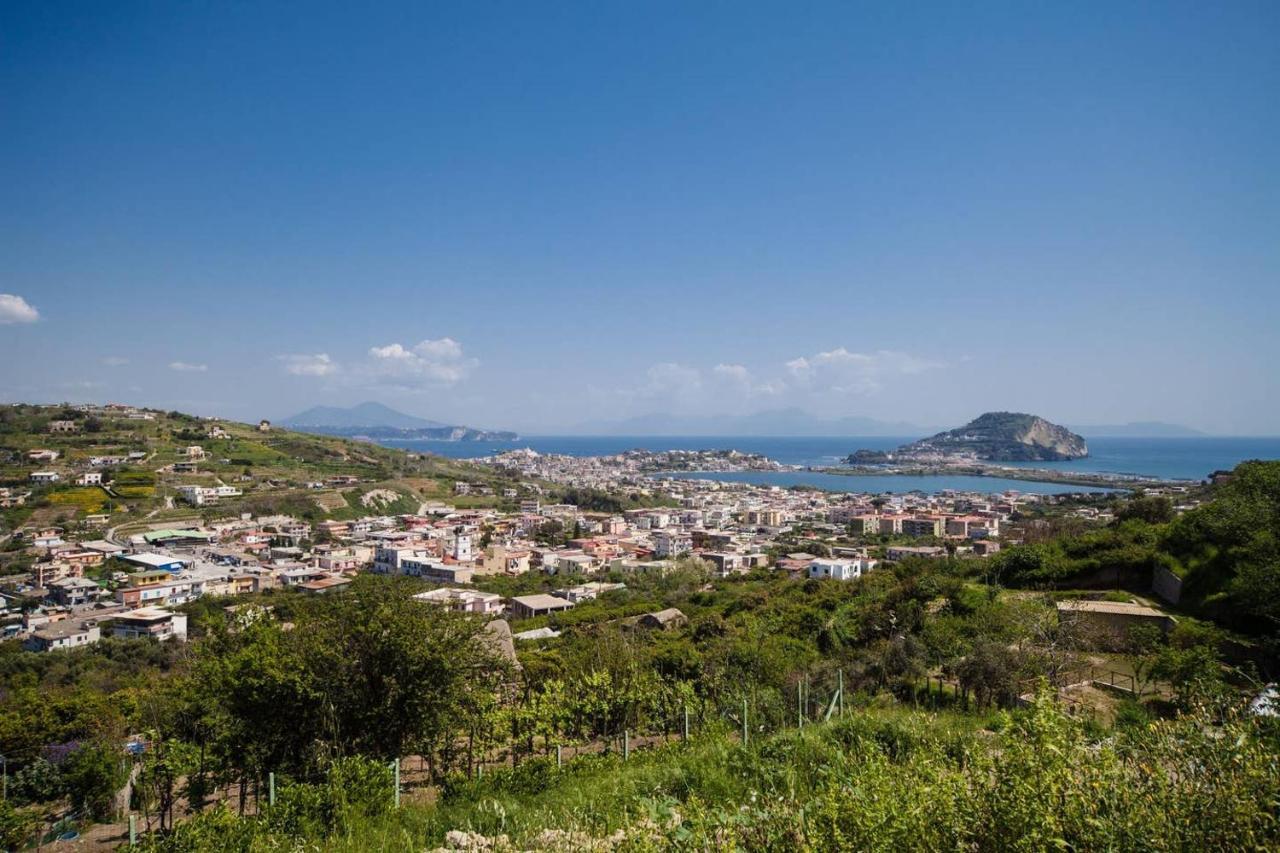 Villa Lamberti Monte di Procida Ngoại thất bức ảnh